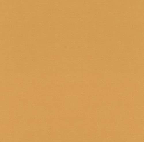 Rasch Tapeten 552805 - Einfarbige Vliestapete aus der Kollektion Salisbury in mattem Gelb mit leichter Struktur – 10,05m x 53cm (L x B)