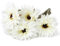 SEWACC 5 Stück Künstliche Gerbera-Gänseblümchen Künstliche Gerbera-Blumen Afrikanische Gänseblümchen Seiden-Gerbera-Blumen Für Hochzeit Zuhause (Weiß)