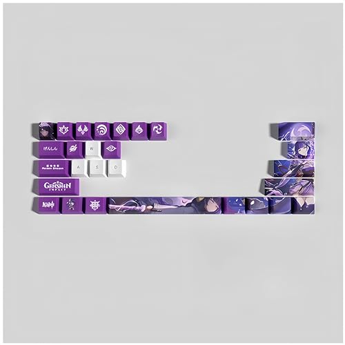 Genshin Impact Tastenkappen, 29 Tasten, OEM/PBT Thermosublimation, benutzerdefinierte Tastenkappen für 61/64/87/104/108 Cherry Gateron MX Switches mechanische Tastaturen (Raiden Shogun)