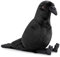PuffPurrs Crow Plush Toy - Realistischer 12-Zoll Schwarzer Krähen Halloween Stofftier, Niedliches kleines Raben-Plüschgeschenk für Deine Freunde