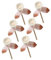 CORHAD 6st Aromatherapie-Rattan Natürlicher Duftdiffusor Ätherisches Öl Reben Diffusor Für Ätherische Öle Wein-diffusor-Sticks -diffusor-Sticks Aroma-Sticks Aromadiffusor Rattan