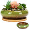SMELEYOU Lotus Bonsai Schale für Lotusblume Keramik Blumenschale Verglasierte Pflanzentöpfe Innenrunde Bonsai Topf Dekorative Flache Hydroponic Pflanzer ohne Abfluss für Wasserlilie, Grün