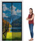 Mosquitera para Puerta 122x209cm(宽度x高度) Resistente Al Desgarro Mosquitera para Ventana con Imanes para Puertas de Madera, Hierro y Aluminio, Negro
