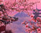 Crafts&Co® Diamond Painting Set, 5D Diamant Malerei, DIY, Malen nach Zahlen, Runde Dril Perlen, Wandbild, Kunsthandwerk für Zuhause, Wanddekoration (Japan Sakura, 40 x 50 cm)