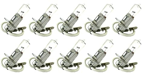 CARALL 10 Stück Halogenlampen 24V für Lkw (H3 24V 70W PK22s)