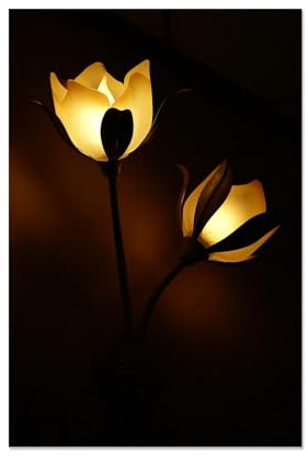 RXNHGJDS Abstrakte bilder Leinwand,GlüHbirnen auf Leinwand,Lampe Blumen Leuchten Bild Schwarz,Bilder auf Leinwand,Wall Pictures for Living Room40x60cm(16x24in) Rahmenlos