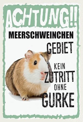 mrdeco Metall Schild 20x30cm gewölbt Tiere Achtung Meerschweinchen Deko Blechschild Tin Sign