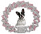 Hundehalsband, Diamant-Metall, kubanische Glieder-Hundehalsband, 15 mm breit, glitzernd, für kleine, mittelgroße und große Haustiere, Hunde, Katzen, Rosa (20.3cm)