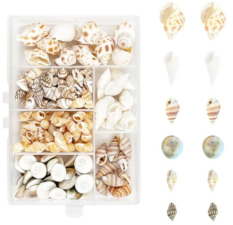 166 Stück Muscheln,6 Arten Spiral Muschel Perlen Ungebohrt,Natürliche Muscheln für Strand,Muscheln zum Basteln,Muscheln für Handwerk,Vase Füller,Strand Themenparty,DIY Kunsthandwerk