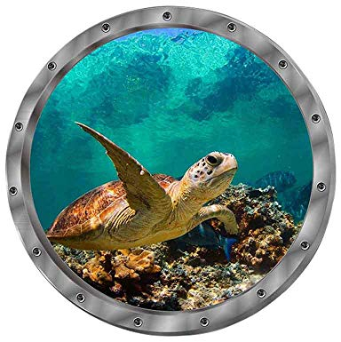 Wandtattoo Wandaufkleber 3D Fenster Delphin Schildkröten Unterwasserwelt Delfine Marine Wohnzimmer Schlafzimmer Kinderzimmer Deko (Schildkröten)
