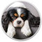 Vinyl-Aufkleber, 7,5 cm, Cavalier King Charles Spaniel Hund, #12388, 2 Stück