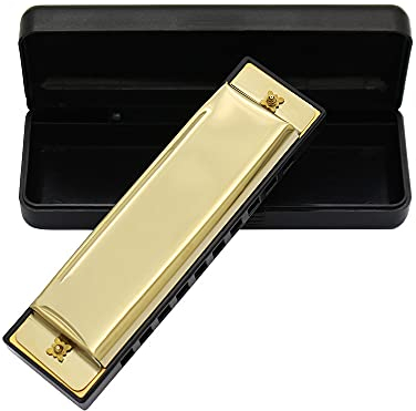Alomejor Mundharmonika, 10 Löcher 20 Melodien Professionelle Diatonische Metallharmonika Anfänger Mundharmonika für Kinder und Erwachsene mit Hartschalenkoffer(Gold)