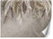 Vliestapete - Tapete 350x245 - Fototapete 3d Effekt - Wanddekoration fur Wohnzimmer - Wandtapete Einfach zu Montieren - Tropische Blätter