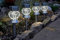 Garden Mile Solar Powered Solar Powered Stake Outdoor Lights Outdoor Lighting Light Lantern for Garden Pathway Patio Accessories Light Up Outdoor Lights (4pc Multi Coloured Stakes)
