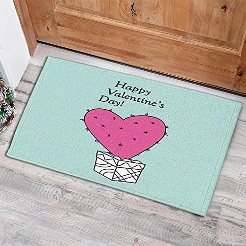 Strunt Fußmatte für den Innenbereich, niedliches Herz-Kaktus-Geschenk-Box, Türkis, Flanell-Bodenmatte mit rutschfester Fußmatte, Einweihungsdekoration, Geschenk zum Valentinstag, Willkommens-Fußmatte,