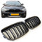 GCP PASST FÜR 1ER F20 F21 BIS 01/2015 SPORT KÜHLERGRILL DOPPELSTEG GRILL GLANZ SCHWARZ