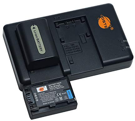 NP-FH50 Lot de 2 Batteries de Rechange Rechargeables et Chargeur Double Compatible avec Sony DSC-HX1, DSC-HX100V, DSC-HX200V, HDR-TG5V, HDR-TG1E, HDR-TG5, HDR-TG7 Appareil Photo numérique, etc.