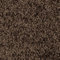 SchönesWohnen Teppichboden Almara Auslegware dunkel-braun 400x200cm