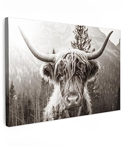 MuchoWow© Leinwand Groß 120x80 cm XXL Deko Schlafzimmer Aesthetic Leinwandbilder Wohnzimmer Gemälde Foto Geschenk Living Room Decoration Schottisches Hochlandrind - Kuh Bild - Tiere - Schwarz und Weiß